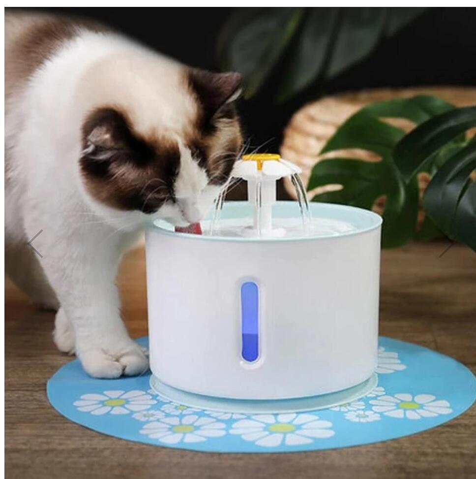 Water Fountain With LED Lighting Drinking Dispenser