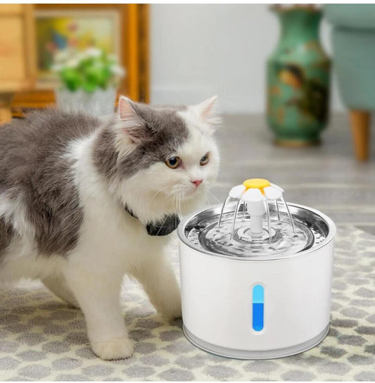 Water Fountain With LED Lighting Drinking Dispenser